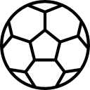 崔振姝